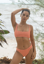 Cargar imagen en el visor de la galería, ESTRELLA DE MAR ROSA CORAL